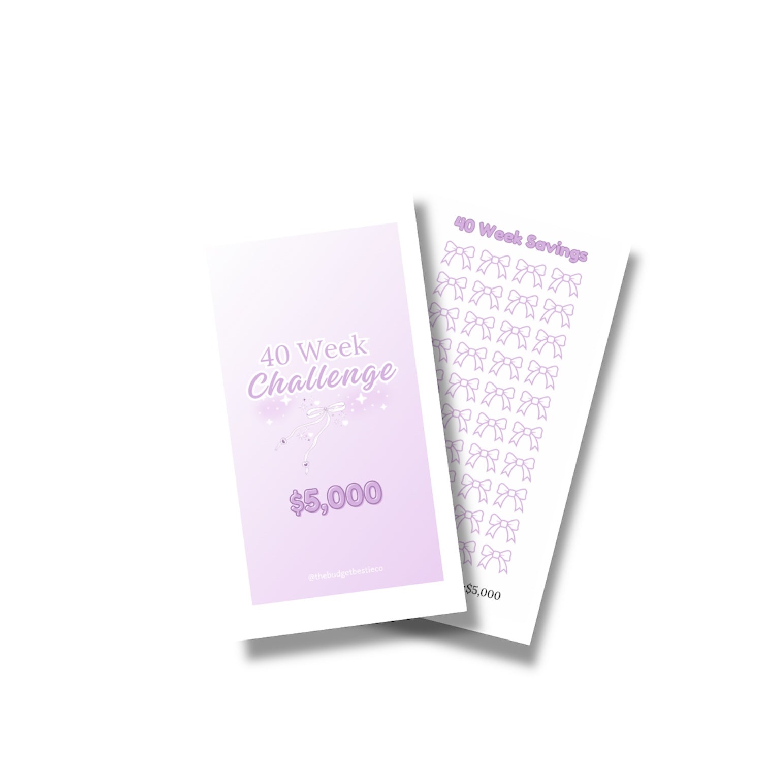$5,000 savings challenge | low income | budgeting | beginner friendly