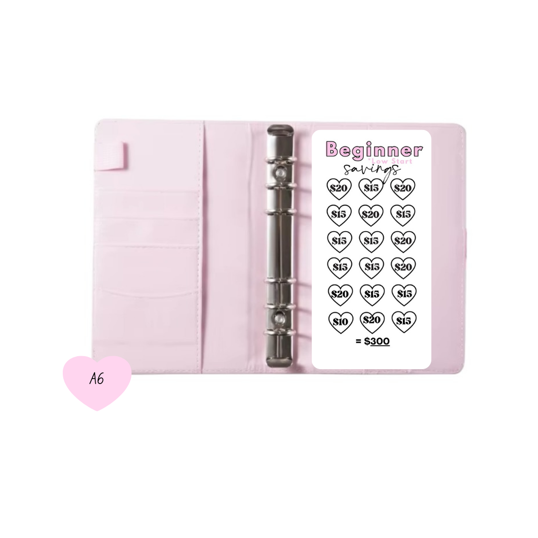 New A6 $300 Beginner Savings