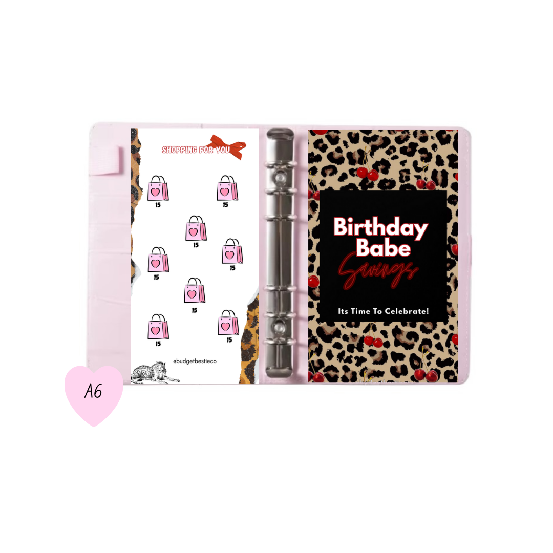 New A6 Birthday Babe Savings Binder Set