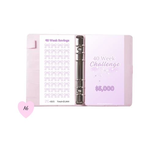 $5,000 savings challenge | low income | budgeting | beginner friendly