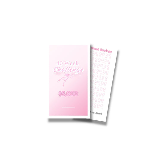 $5,000 savings challenge | low income | budgeting | beginner friendly